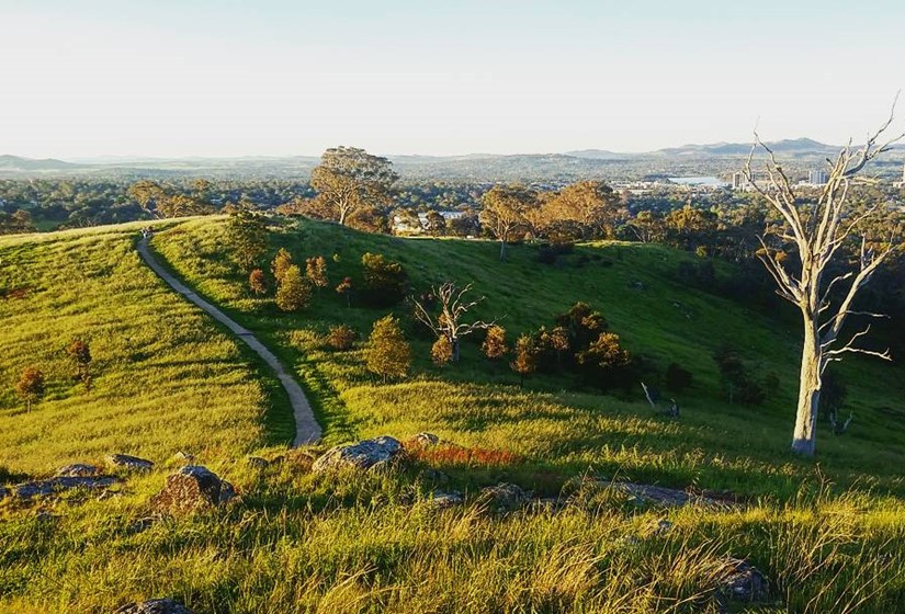 About Ginninderra Main Image